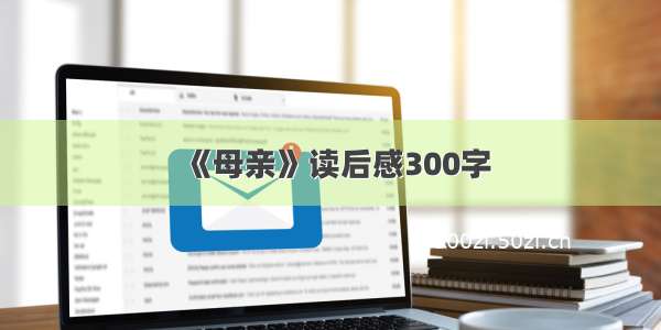 《母亲》读后感300字