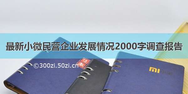 最新小微民营企业发展情况2000字调查报告