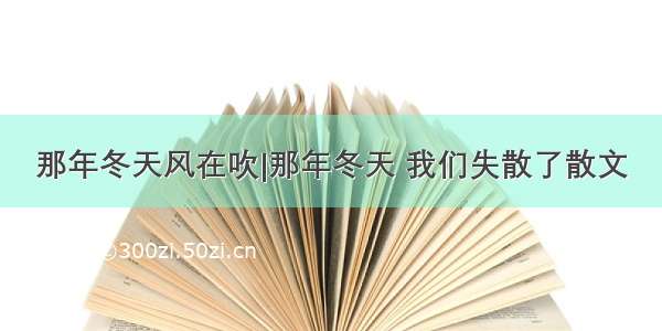 那年冬天风在吹|那年冬天 我们失散了散文