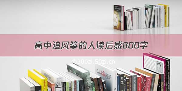 高中追风筝的人读后感800字