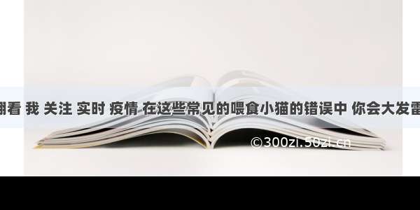 刷新 翻看 我 关注 实时 疫情 在这些常见的喂食小猫的错误中 你会大发雷霆吗？