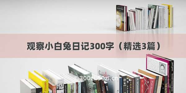 观察小白兔日记300字（精选3篇）