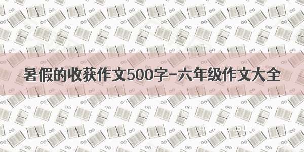 暑假的收获作文500字-六年级作文大全