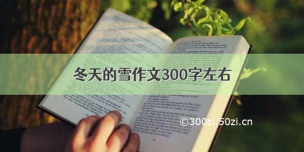 冬天的雪作文300字左右