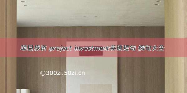 项目投资 project investment英语短句 例句大全