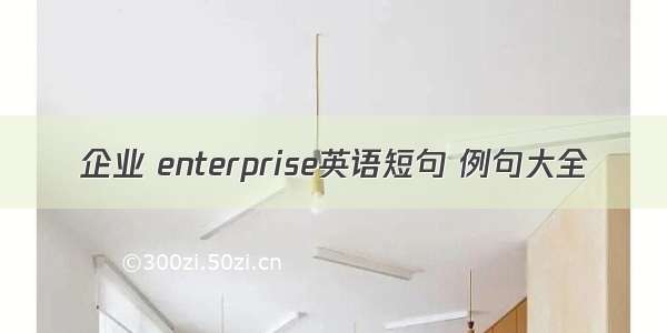 企业 enterprise英语短句 例句大全