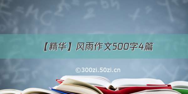 【精华】风雨作文500字4篇