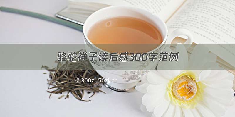 骆驼祥子读后感300字范例