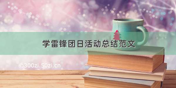 学雷锋团日活动总结范文