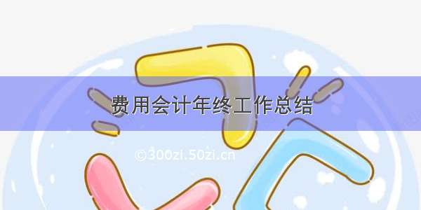 费用会计年终工作总结