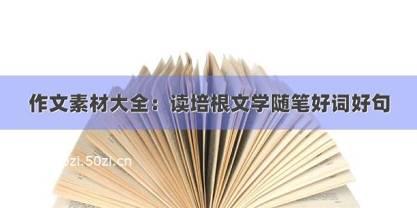 作文素材大全：读培根文学随笔好词好句