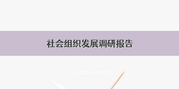 社会组织发展调研报告