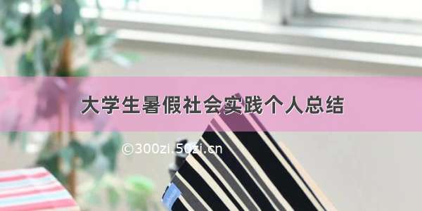 大学生暑假社会实践个人总结