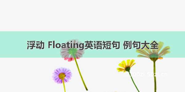 浮动 Floating英语短句 例句大全