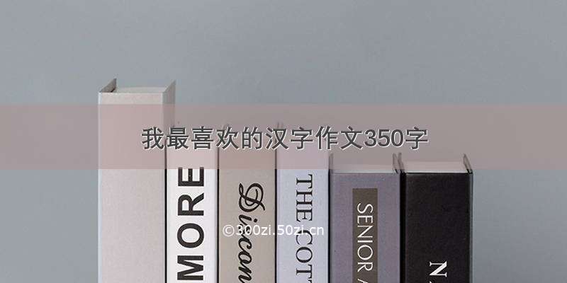 我最喜欢的汉字作文350字