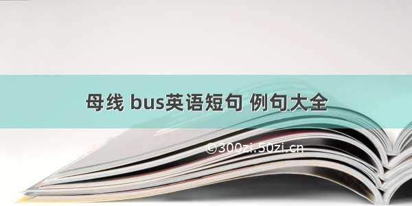 母线 bus英语短句 例句大全