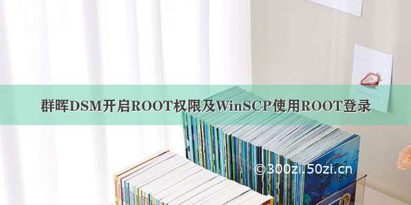 群晖DSM开启ROOT权限及WinSCP使用ROOT登录