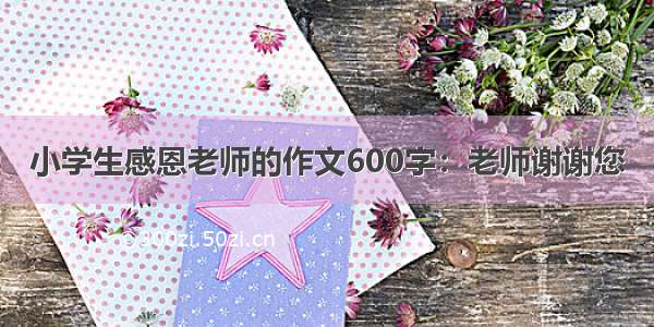 小学生感恩老师的作文600字：老师谢谢您