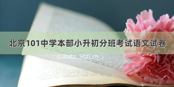 北京101中学本部小升初分班考试语文试卷