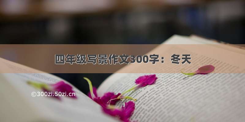 四年级写景作文300字：冬天