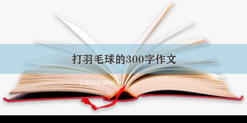 打羽毛球的300字作文