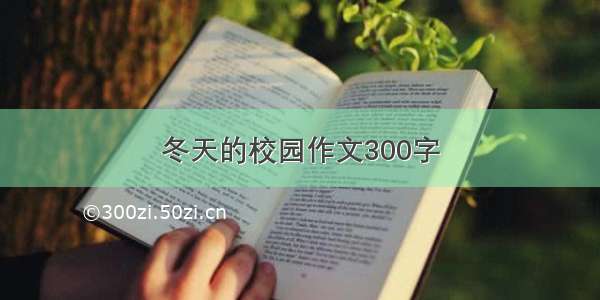 冬天的校园作文300字