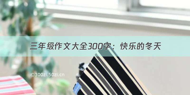 三年级作文大全300字：快乐的冬天