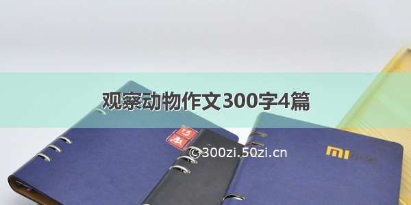 观察动物作文300字4篇