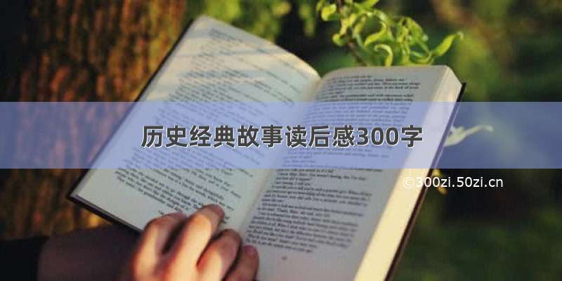 历史经典故事读后感300字