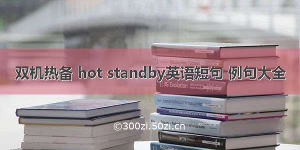 双机热备 hot standby英语短句 例句大全