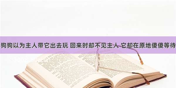 狗狗以为主人带它出去玩 回来时却不见主人 它却在原地傻傻等待