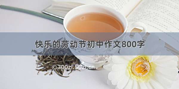 快乐的劳动节初中作文800字