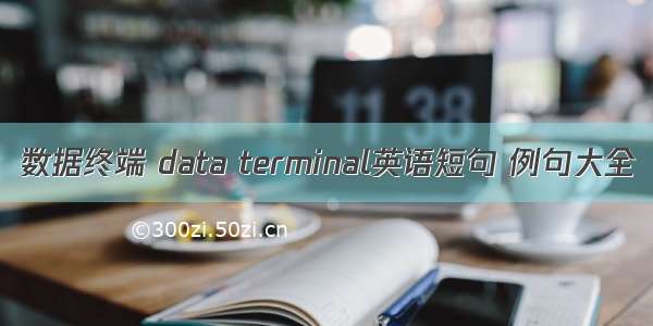 数据终端 data terminal英语短句 例句大全