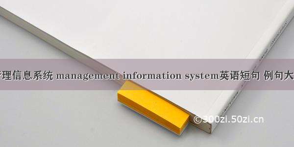管理信息系统 management information system英语短句 例句大全