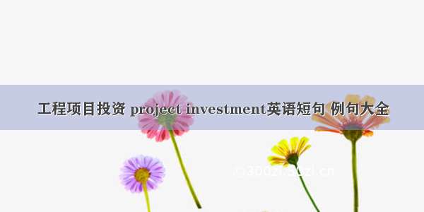 工程项目投资 project investment英语短句 例句大全