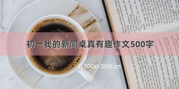 初一我的新同桌真有趣作文500字