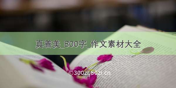 真善美_800字_作文素材大全