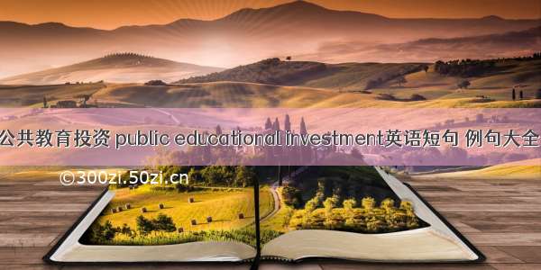 公共教育投资 public educational investment英语短句 例句大全