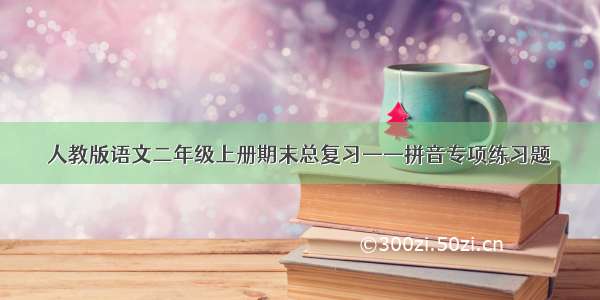 人教版语文二年级上册期末总复习——拼音专项练习题