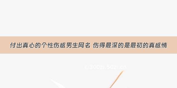 付出真心的个性伤感男生网名 伤得最深的是最初的真感情