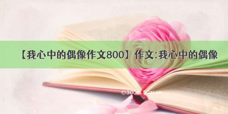 【我心中的偶像作文800】作文:我心中的偶像