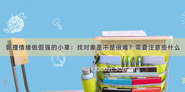 管理情绪做倔强的小草：找对象是不是很难？需要注意些什么