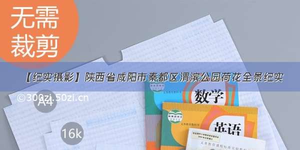 【纪实摄影】陕西省咸阳市秦都区渭滨公园荷花全景纪实