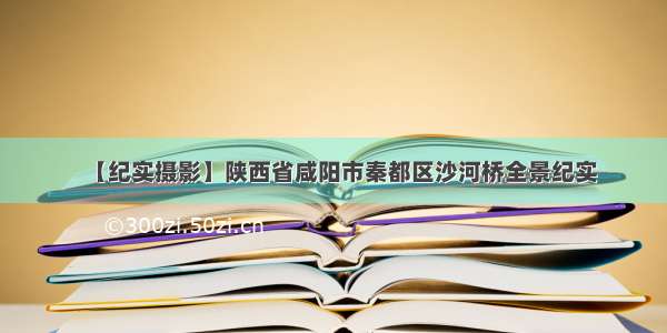 【纪实摄影】陕西省咸阳市秦都区沙河桥全景纪实