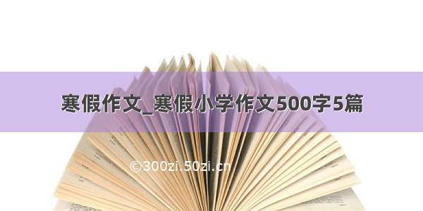 寒假作文_寒假小学作文500字5篇