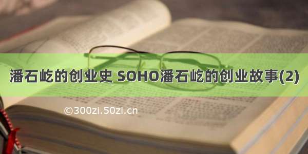 潘石屹的创业史 SOHO潘石屹的创业故事(2)