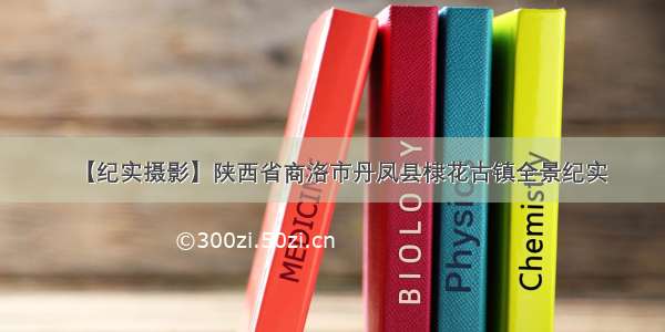 【纪实摄影】陕西省商洛市丹凤县棣花古镇全景纪实