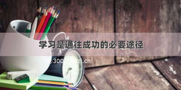 学习是通往成功的必要途径