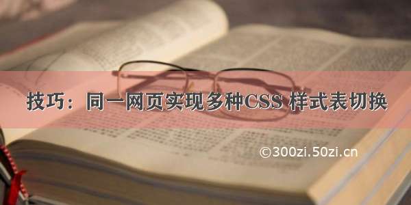 技巧：同一网页实现多种CSS 样式表切换