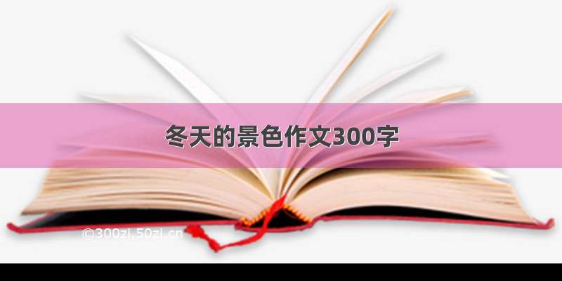 冬天的景色作文300字